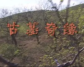 《古墓奇缘》：探险寻宝背后的家庭温情与女神守护，一场视觉与情感的盛宴