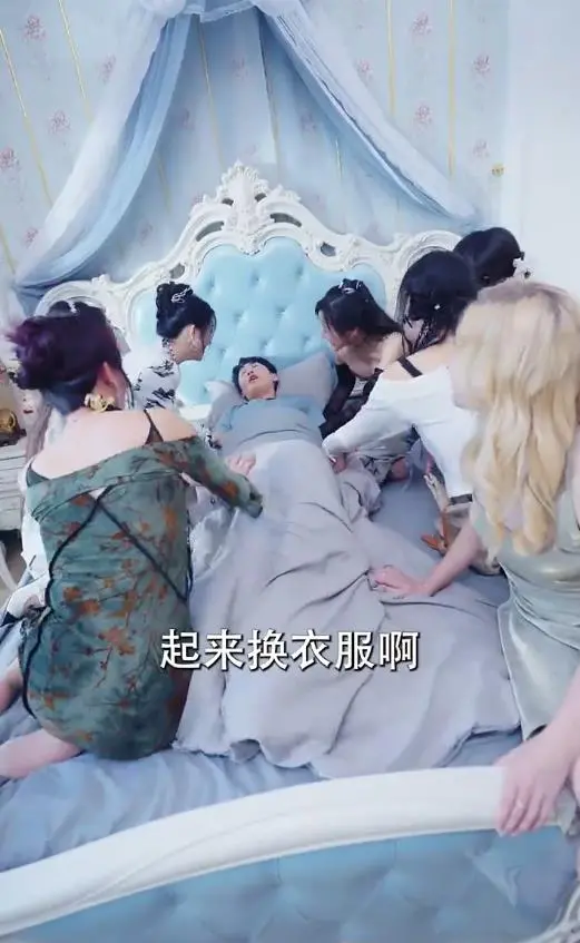 《完蛋，我被七个女神逼婚了》：逆袭人生？还是甜蜜负担？恋爱喜剧爆笑来袭！